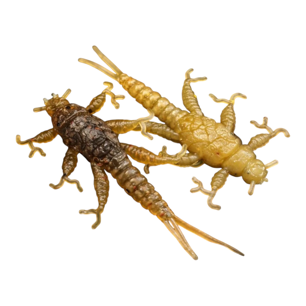 Creek Life Lure Co. 1.5" Stonefly Larvae "The MorelKin"