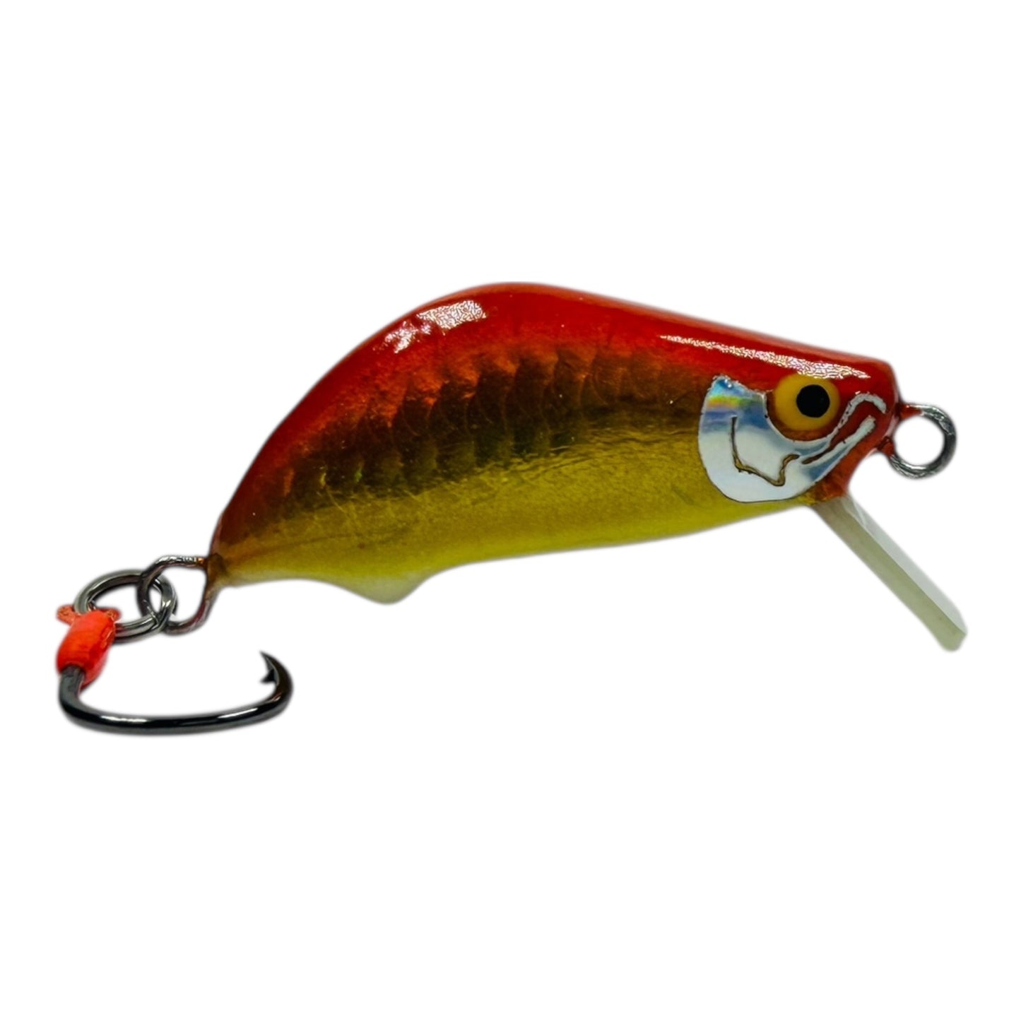 Khun Phon Minnow – 2g