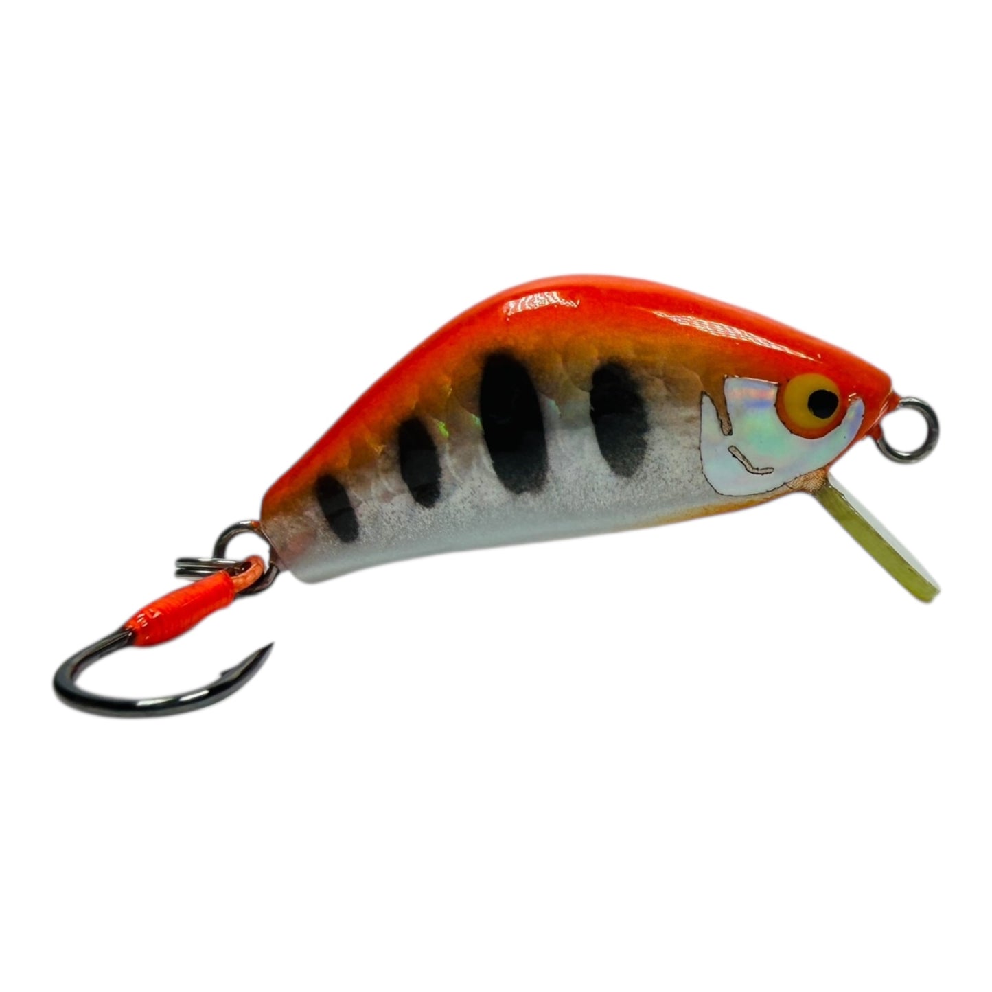 Khun Phon Minnow – 2g