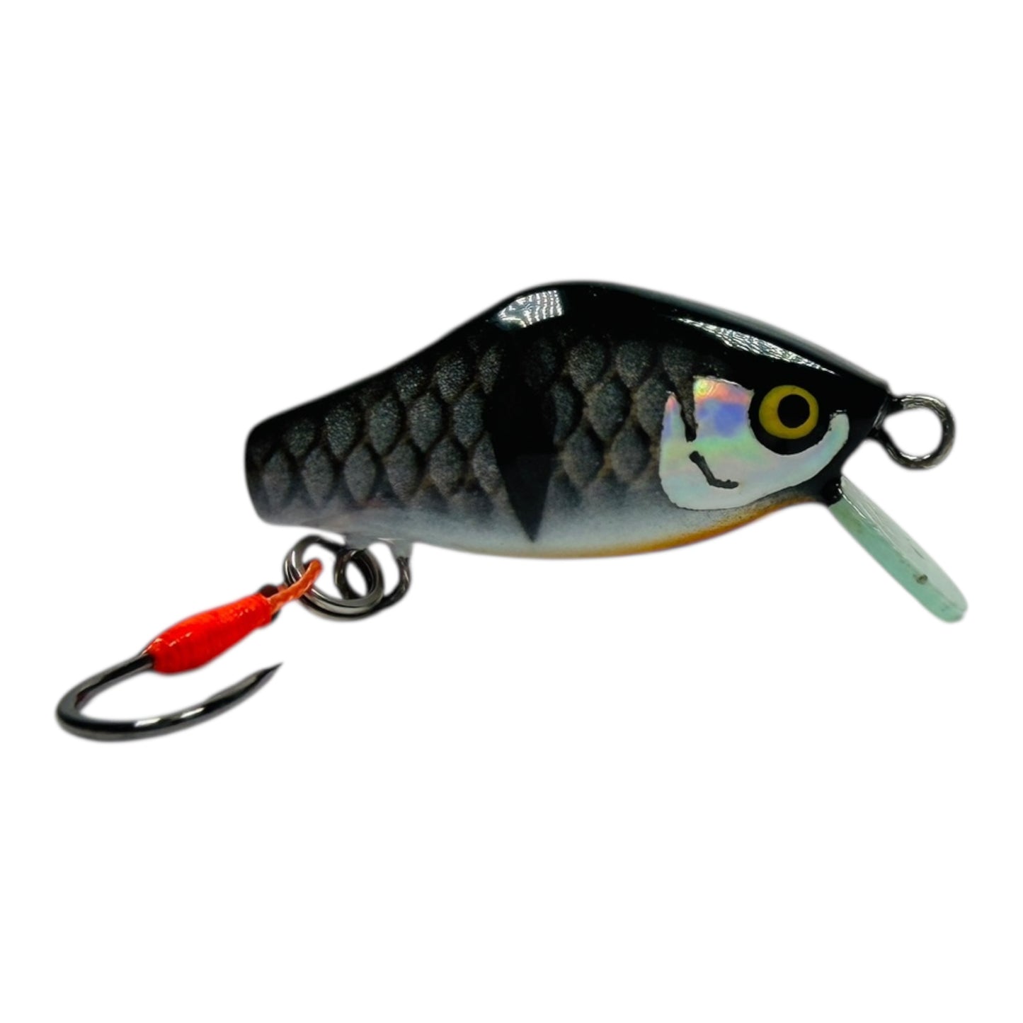 Khun Phon Minnow – 2g