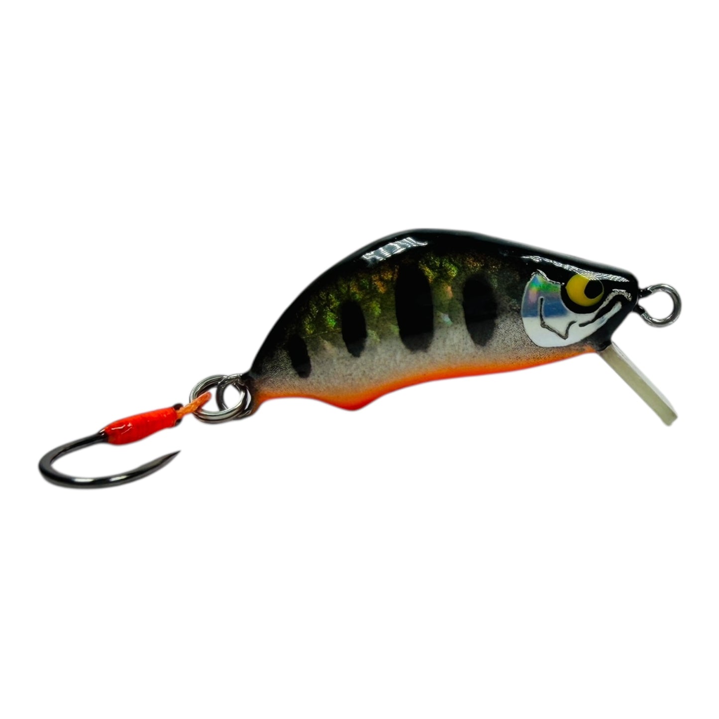 Khun Phon Minnow – 2g