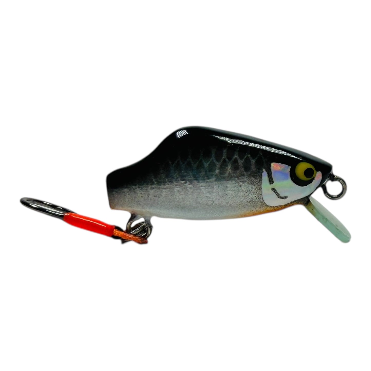 Khun Phon Minnow – 2g