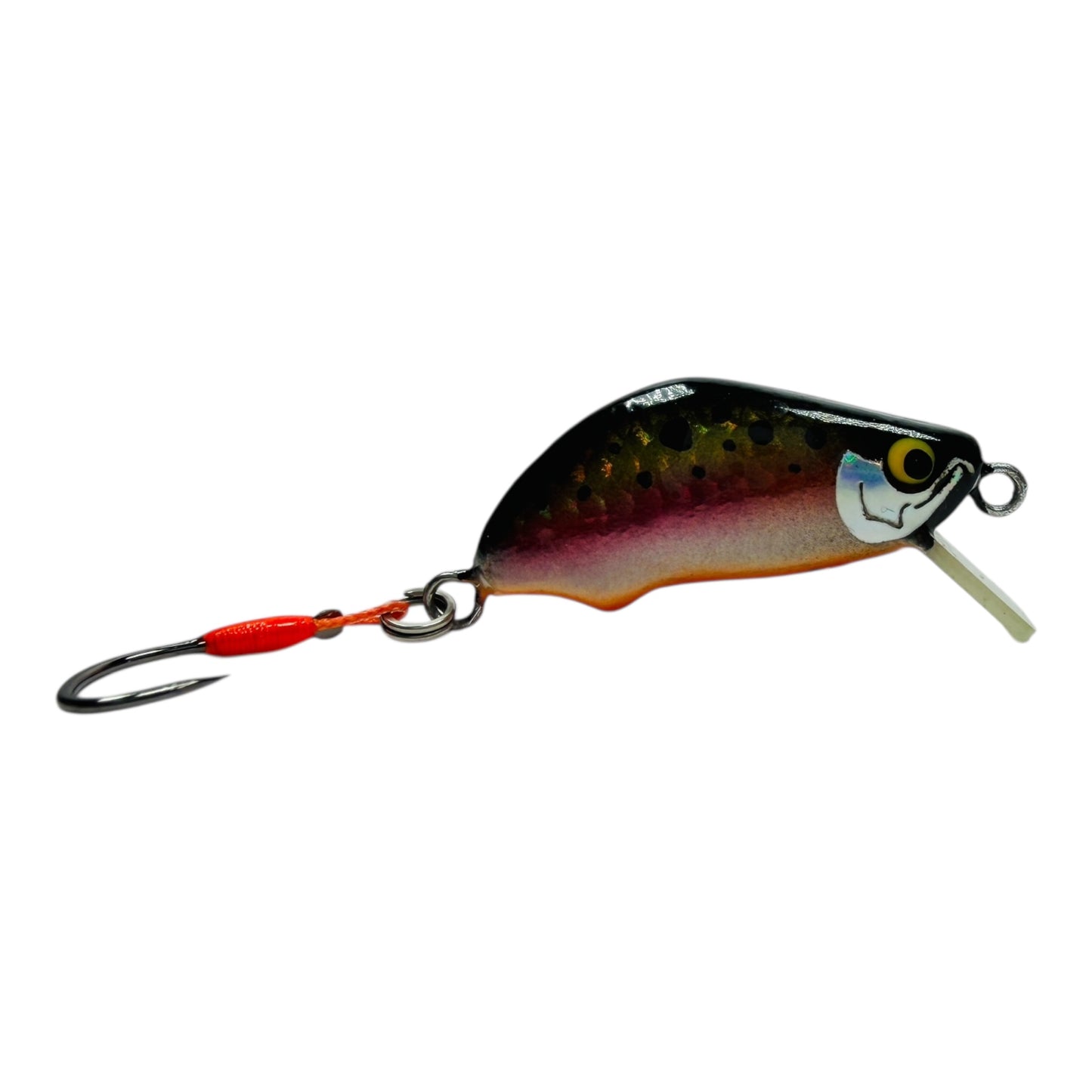 Khun Phon Minnow – 2g