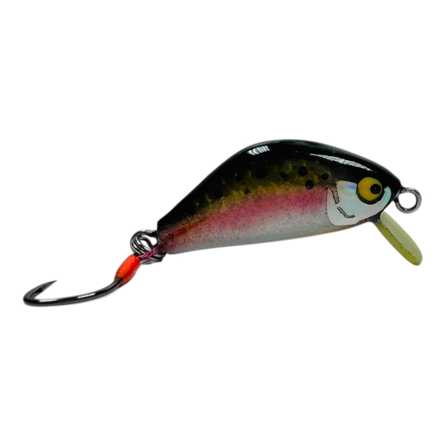 Khun Phon Minnow – 2g